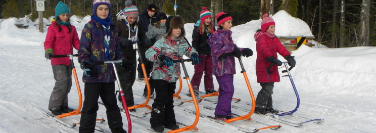 Activité hivernale