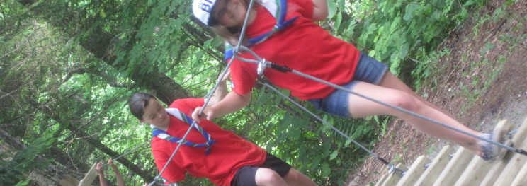 Activité automnale 2014